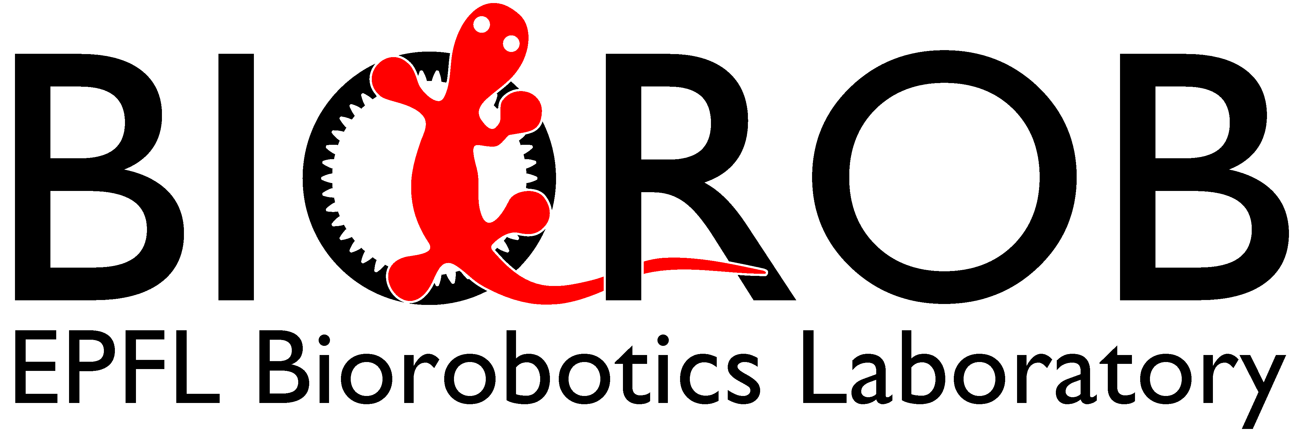 Image BioRobotics Lab